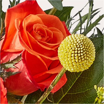 Disco Bouquet –  Charlynda Fleuriste, Sherbrooke PQ