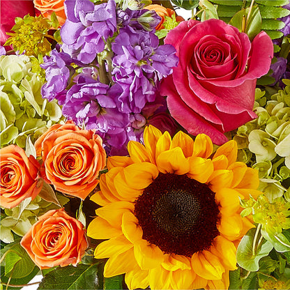 Vibrant Greetings Bouquet –  Charlynda Fleuriste, Sherbrooke PQ