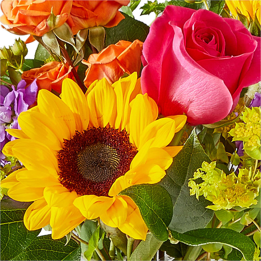 Vibrant Greetings Bouquet –  Charlynda Fleuriste, Sherbrooke PQ