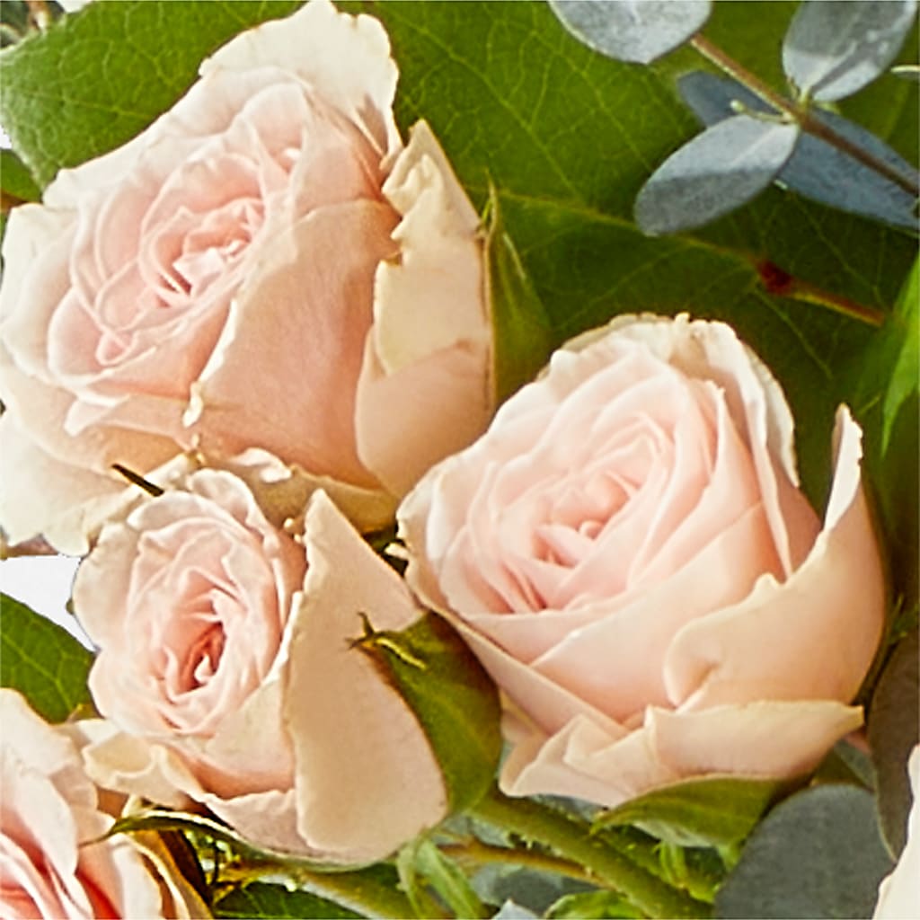 Inspired Bouquet –  Charlynda Fleuriste, Sherbrooke PQ
