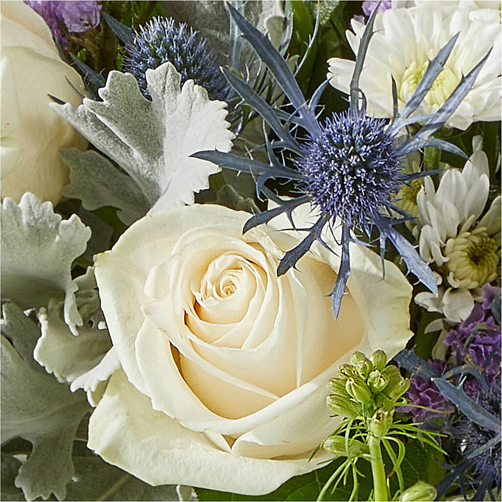 Shooting Star Bouquet –  Charlynda Fleuriste, Sherbrooke PQ