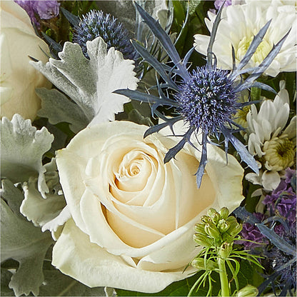 Shooting Star Bouquet –  Charlynda Fleuriste, Sherbrooke PQ