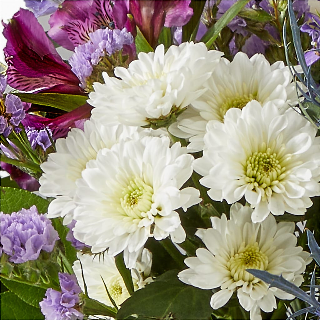 Shooting Star Bouquet –  Charlynda Fleuriste, Sherbrooke PQ