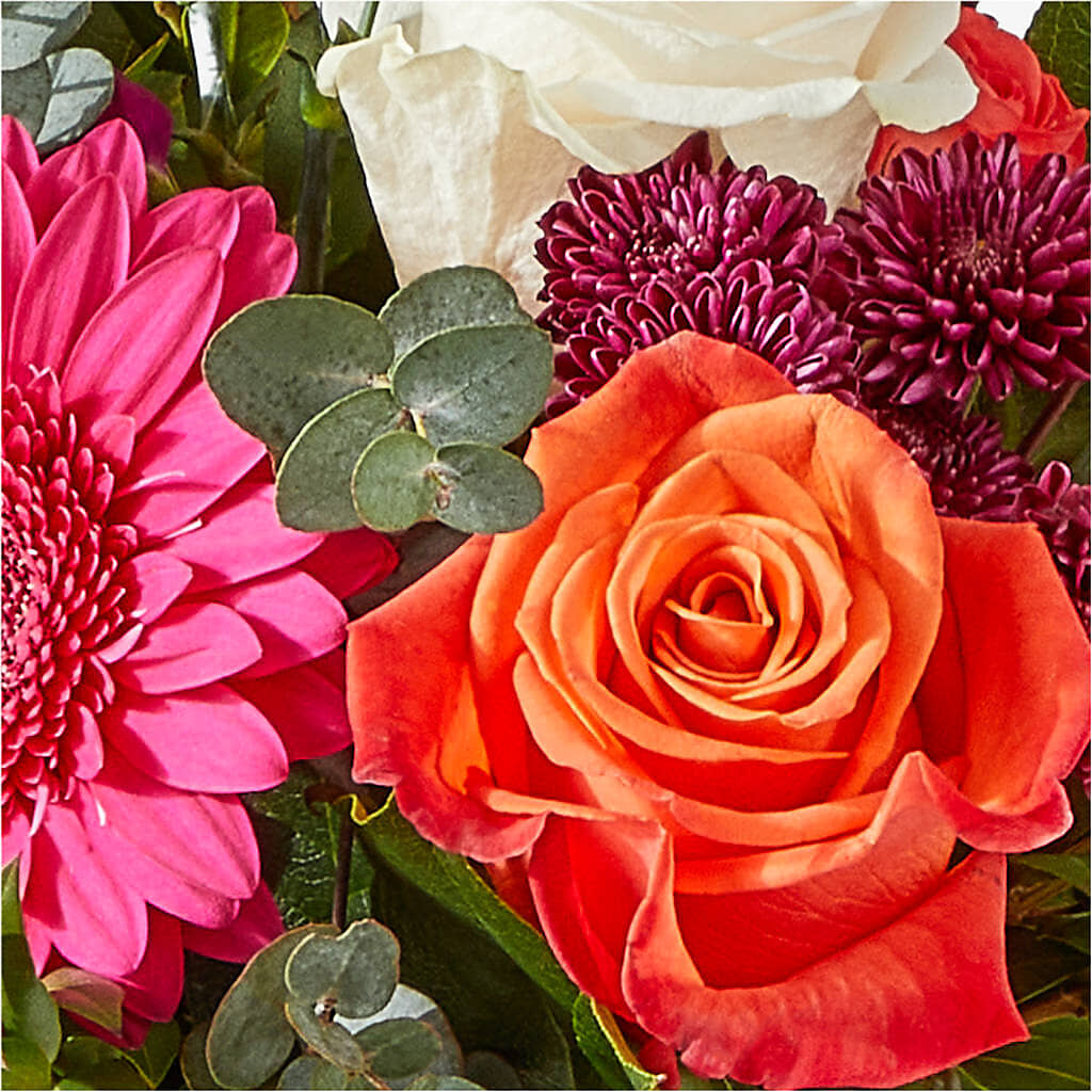 Smell the Roses Bouquet –  Charlynda Fleuriste, Sherbrooke PQ