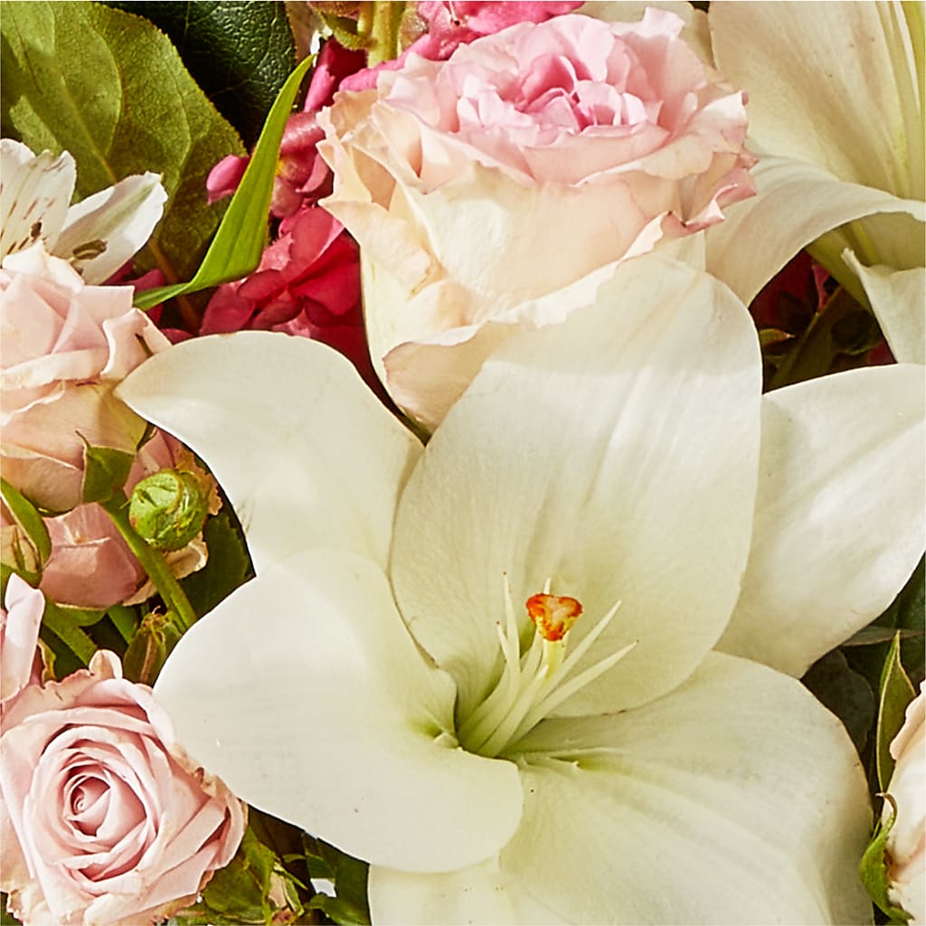 Ballet Slippers Bouquet –  Charlynda Fleuriste, Sherbrooke PQ