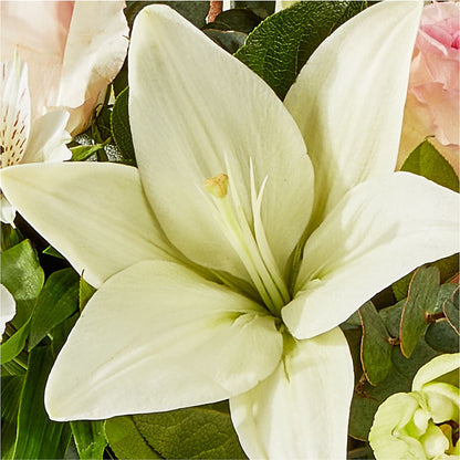 Ballet Slippers Bouquet –  Charlynda Fleuriste, Sherbrooke PQ