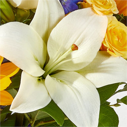Wonderfully Sunny Bouquet –  Charlynda Fleuriste, Sherbrooke PQ