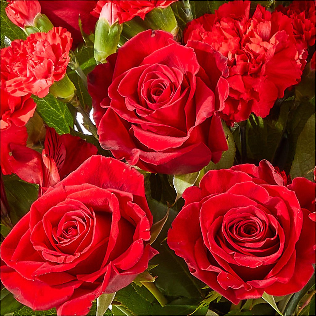 The Heartstrings Bouquet –  Charlynda Fleuriste, Sherbrooke PQ