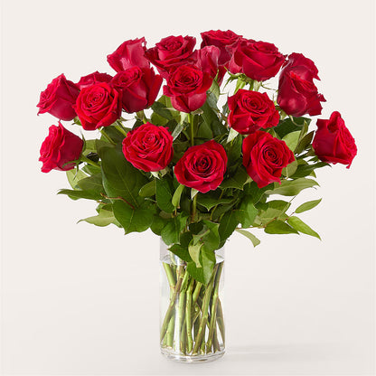 The One Red Rose Bouquet –  Charlynda Fleuriste, Sherbrooke PQ