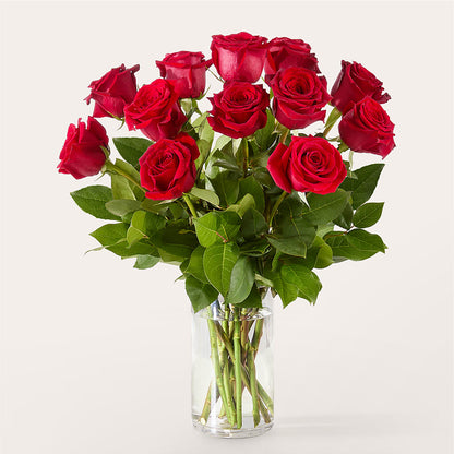 The One Red Rose Bouquet –  Charlynda Fleuriste, Sherbrooke PQ