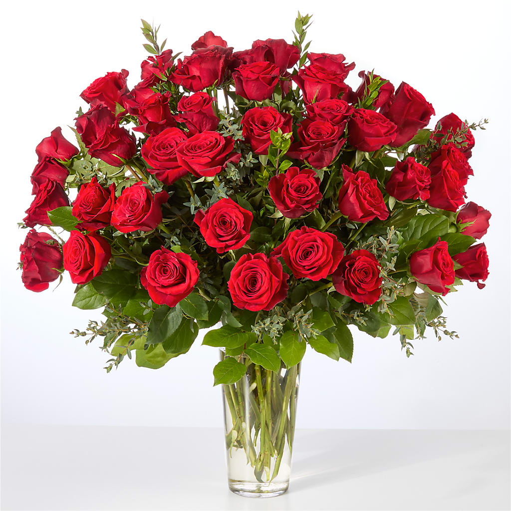 Forever Yours Fifty Stem Red Rose Bouquet –  Charlynda Fleuriste, Sherbrooke PQ
