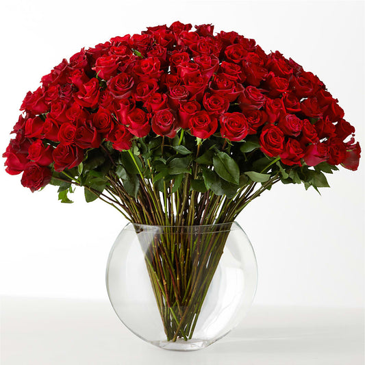 The Idealist –  Charlynda Fleuriste, Sherbrooke PQ