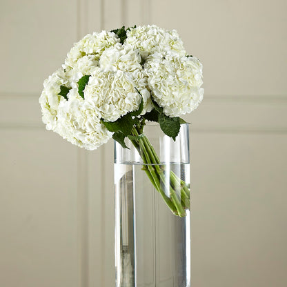 White Hydrangea Hand-Tied Bouquet –  Charlynda Fleuriste, Sherbrooke PQ