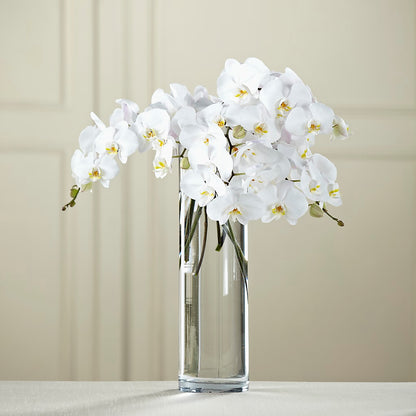 White Phalaenopsis Bouquet –  Charlynda Fleuriste, Sherbrooke PQ