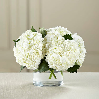 White Hydrangea Bouquet –  Charlynda Fleuriste, Sherbrooke PQ